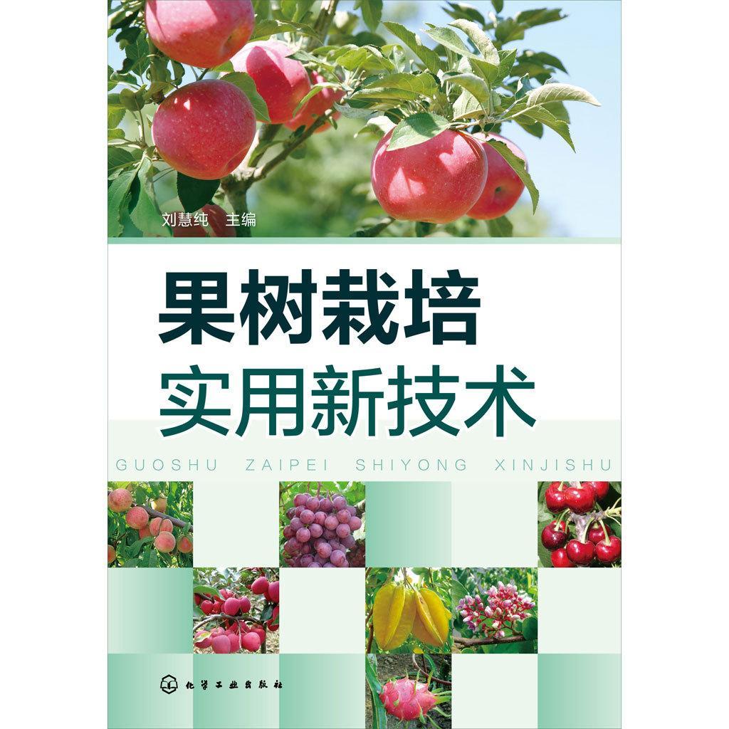 大棚蔬菜种植技术：解锁现代农业的秘密武器