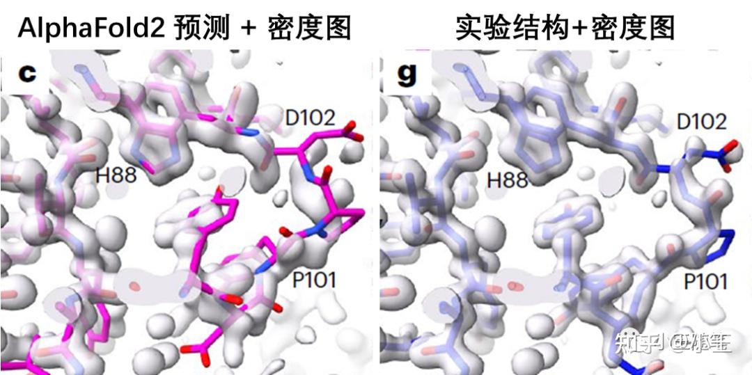 AlphaFold的出现，对颜宁的研究究竟有多少替代作用？ - 知乎
