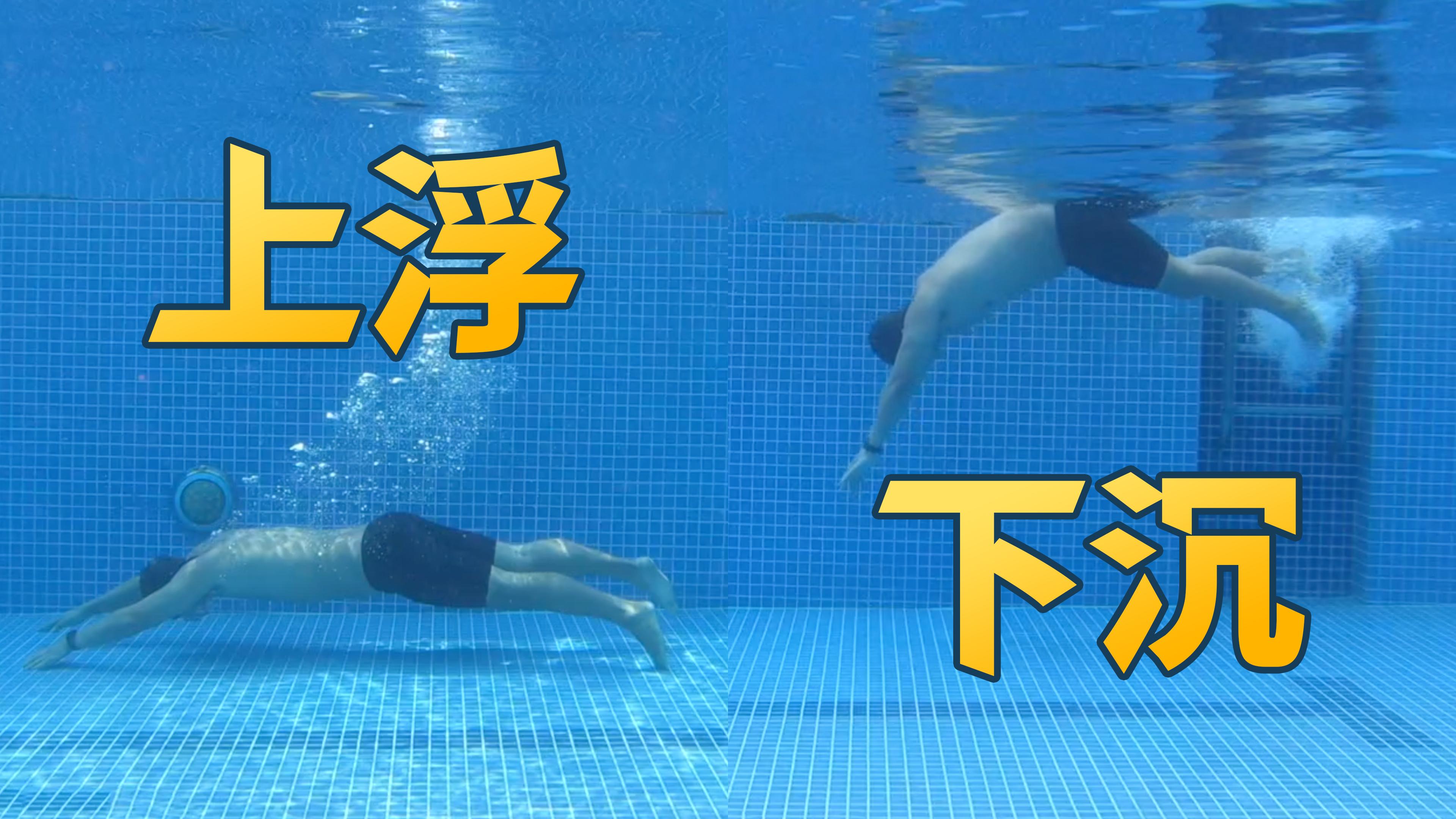 在泳池怎样优雅地下潜和上浮泳池老油条5梦觉教游泳
