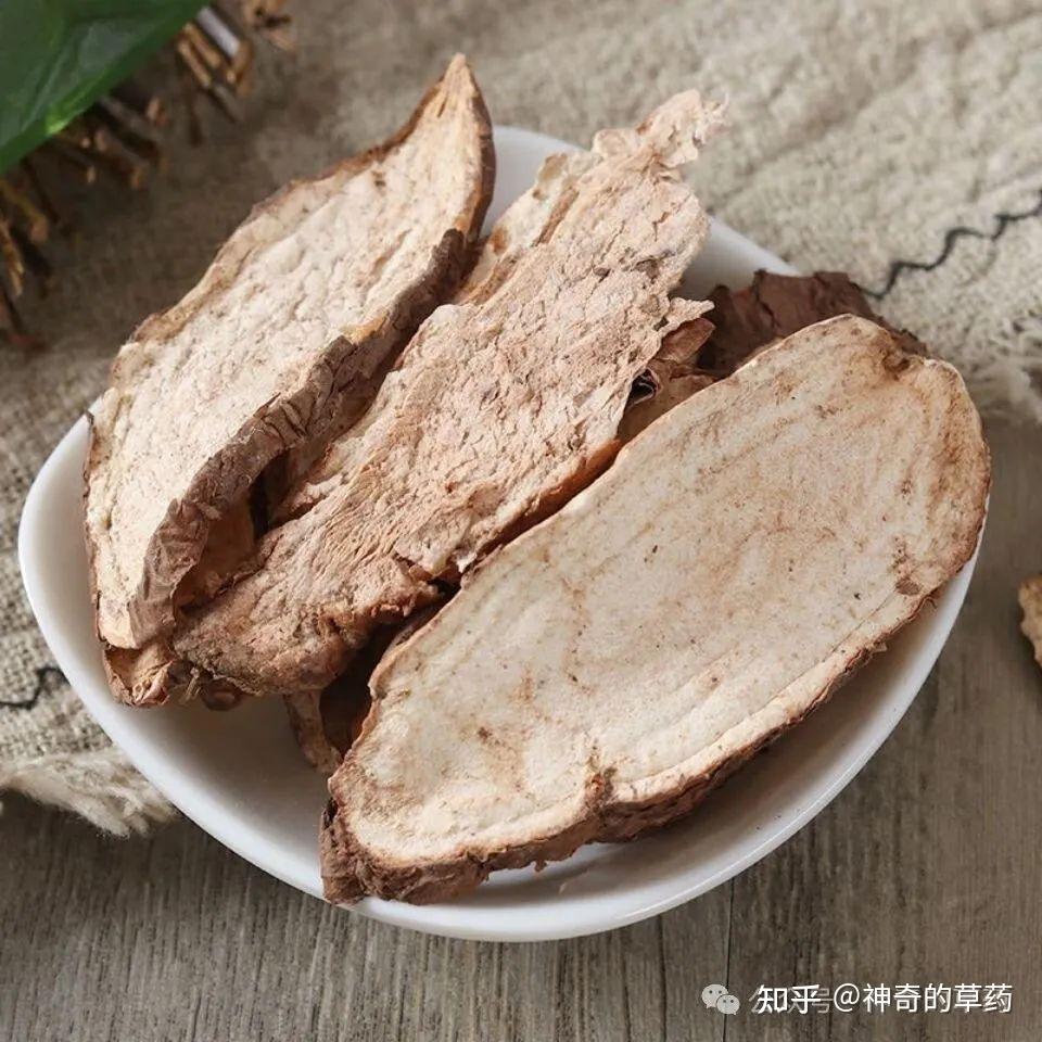 中药材:白蔹 - 知乎