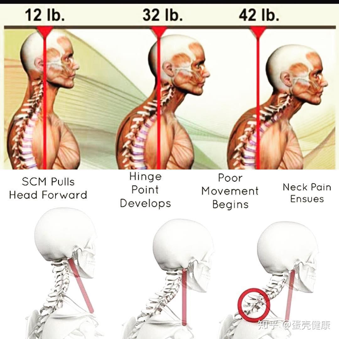 瑜伽按摩EPP瑜伽柱精准颈椎按摩竖脊肌斜方肌肩胛提肌-阿里巴巴