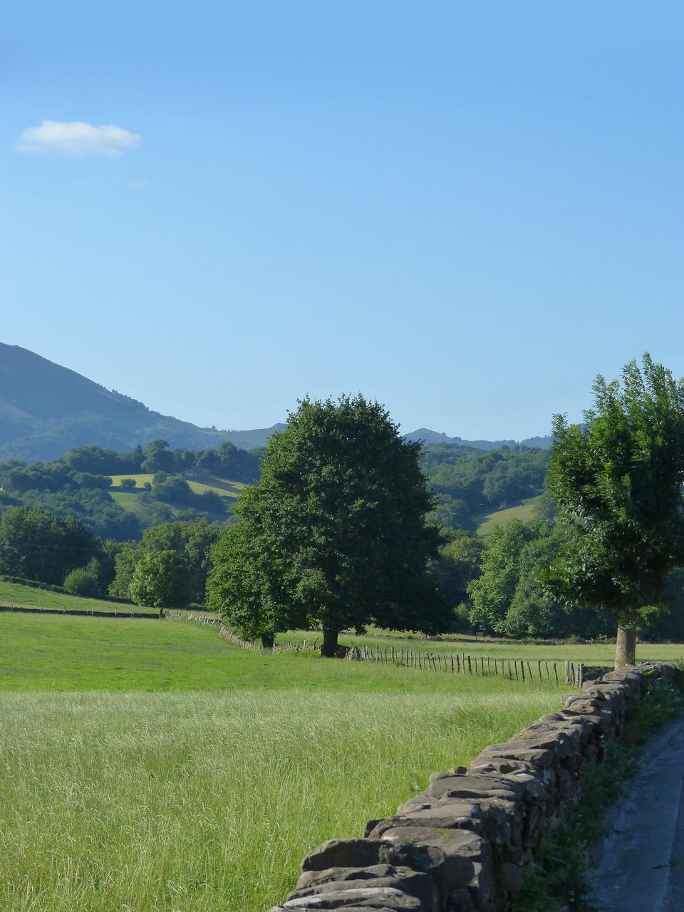 如何清除墙上的广告