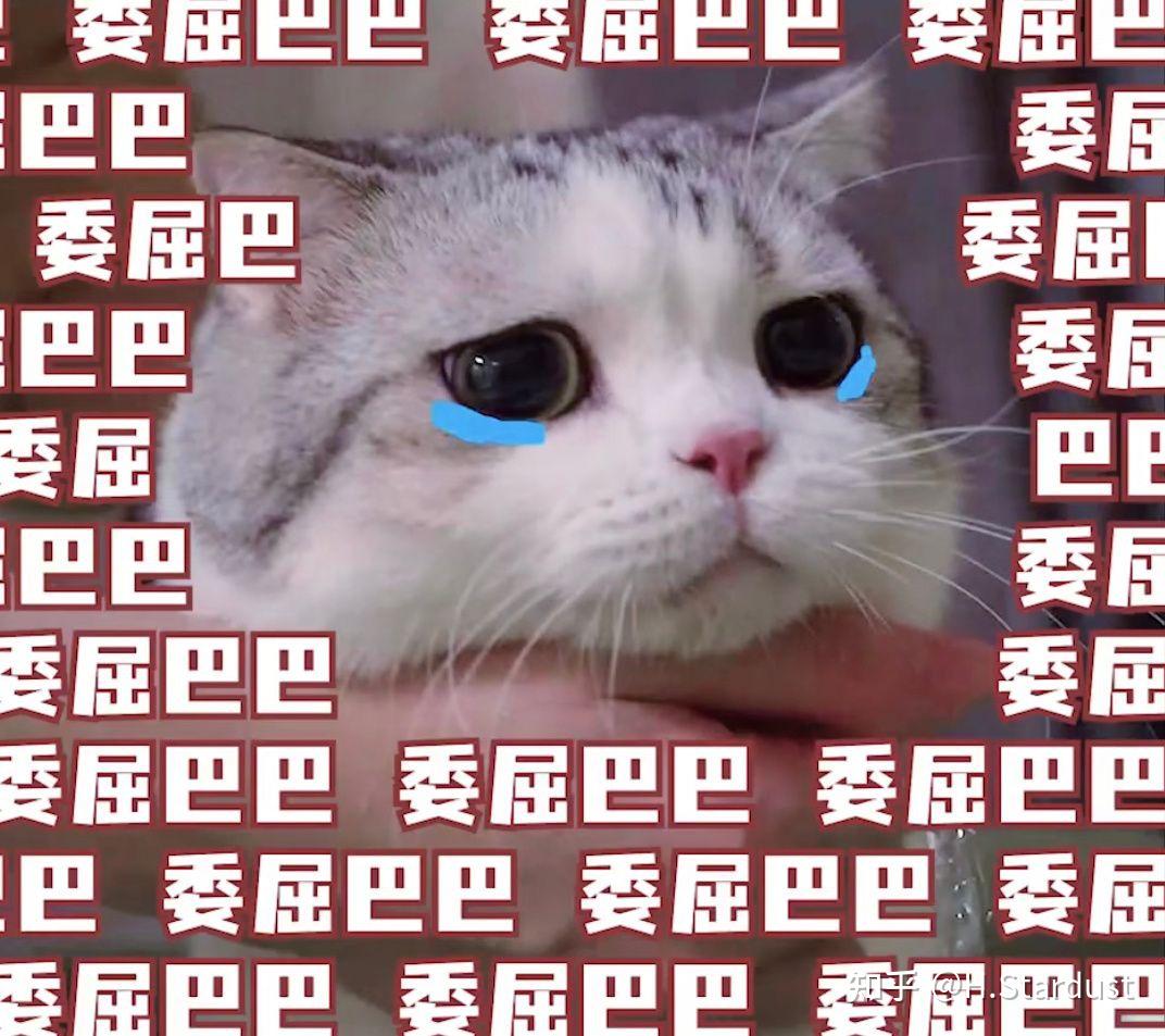 如何评价香香软软的小泡芙? - 知乎