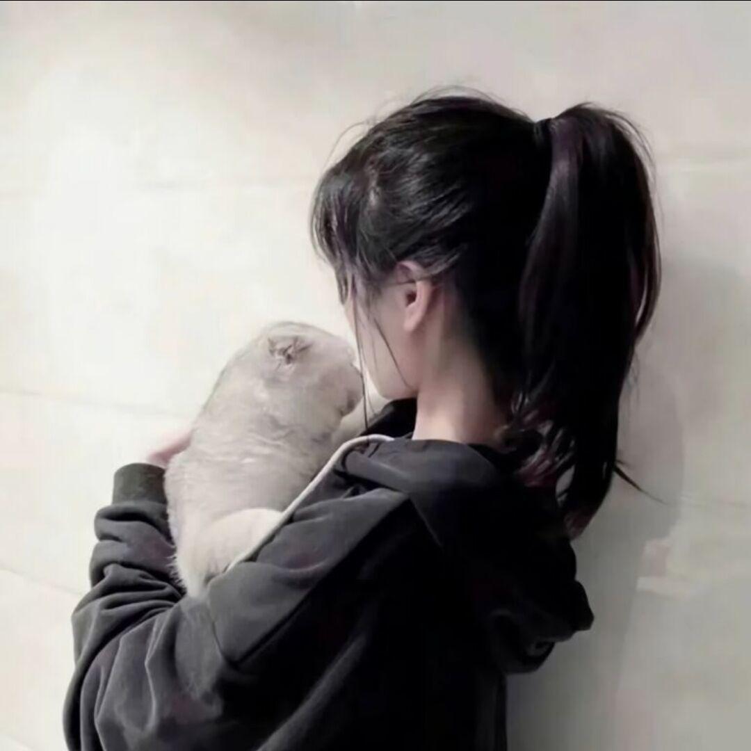 有没有类似这样的头像侧身图