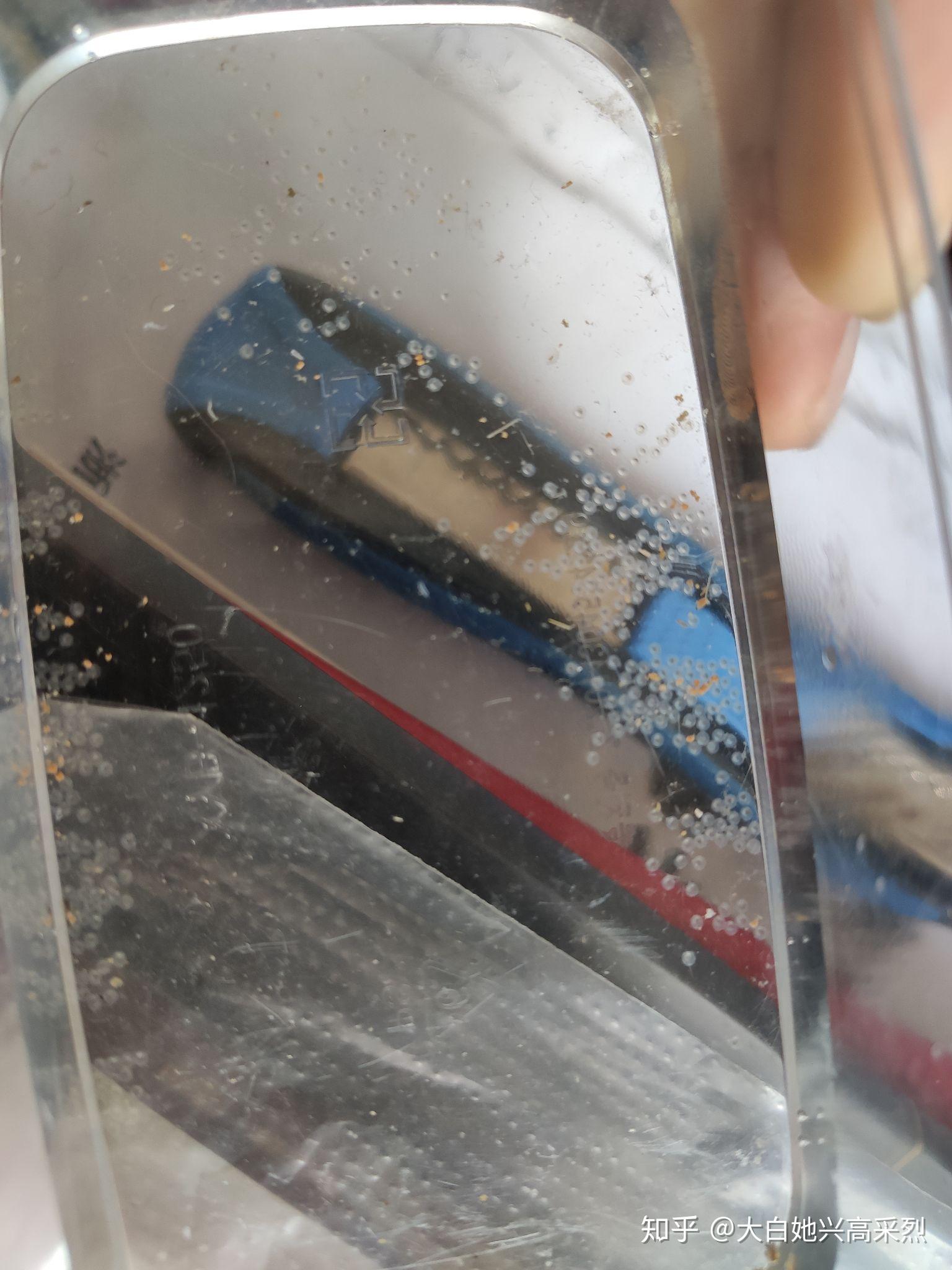 这个是斑马鱼的卵么? - 知乎