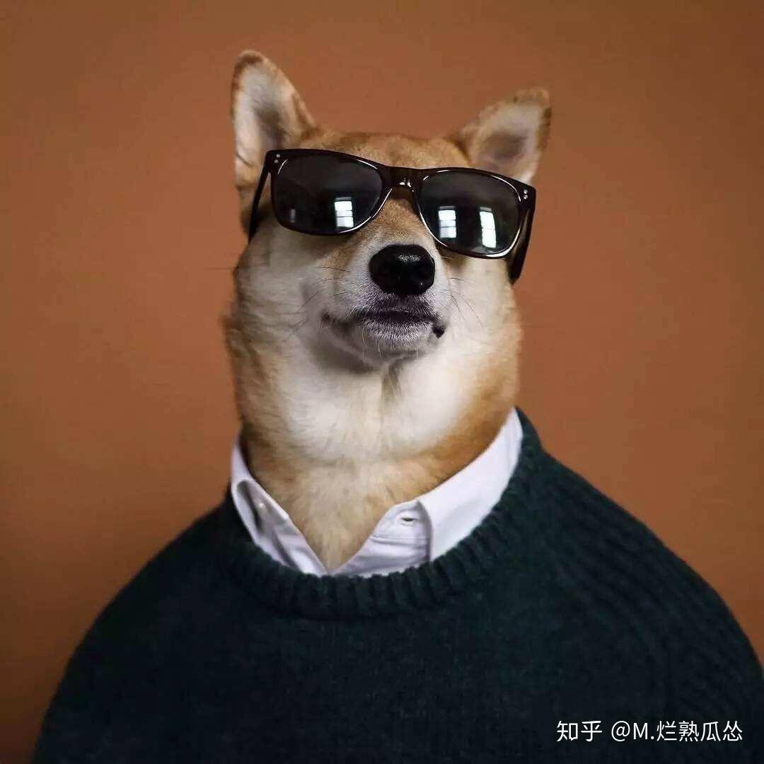 为什么很多男生很爱用狗的图片做头像?