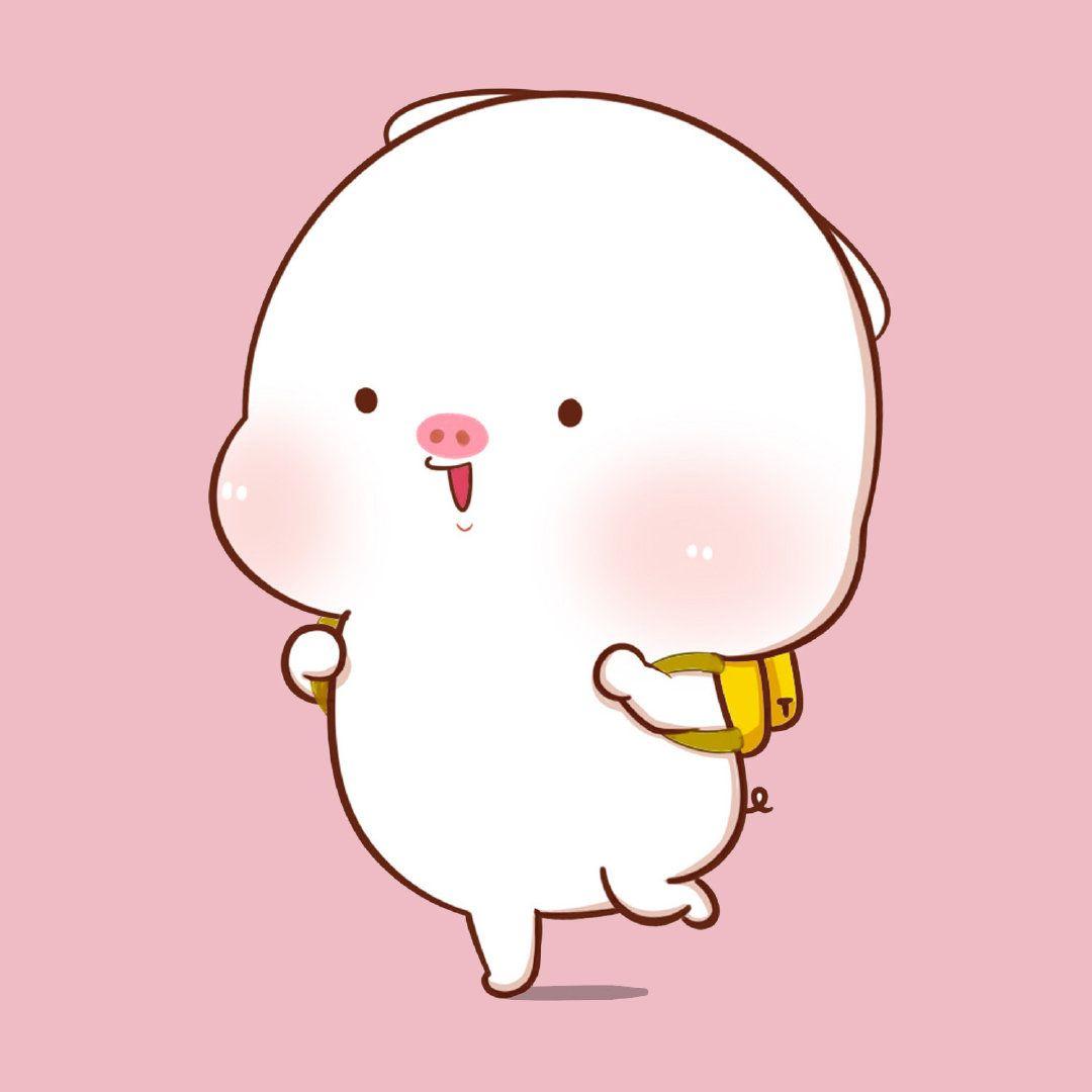 有没有关于猪猪的头像