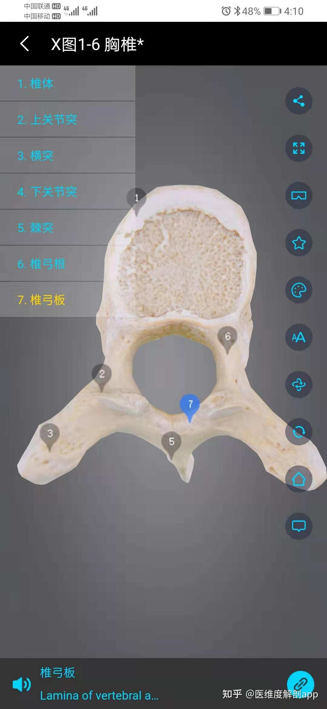 国内最好的解剖软件是3Dbody吗？ - 知乎