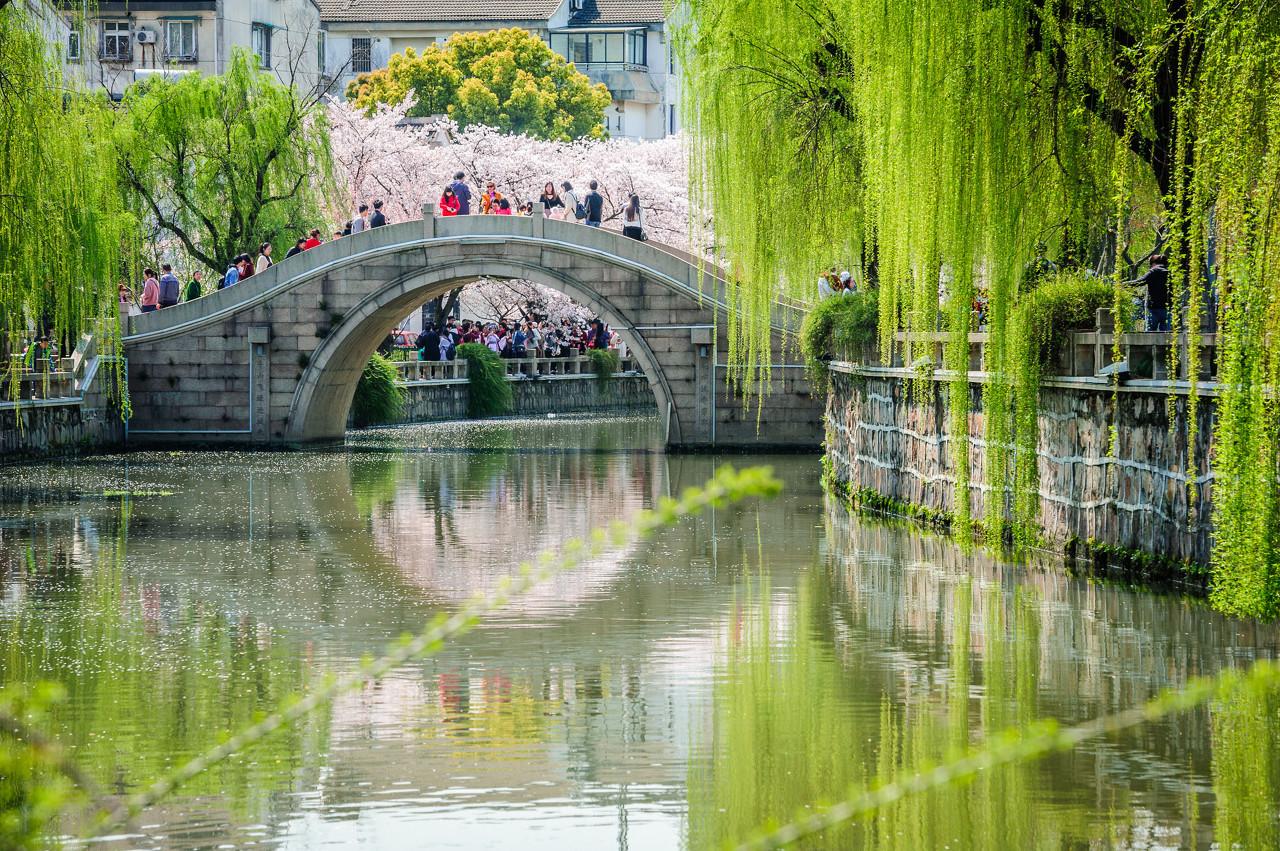 正是江南好风景 花开时节又逢君 江南赏春吃喝指南奉上 知乎