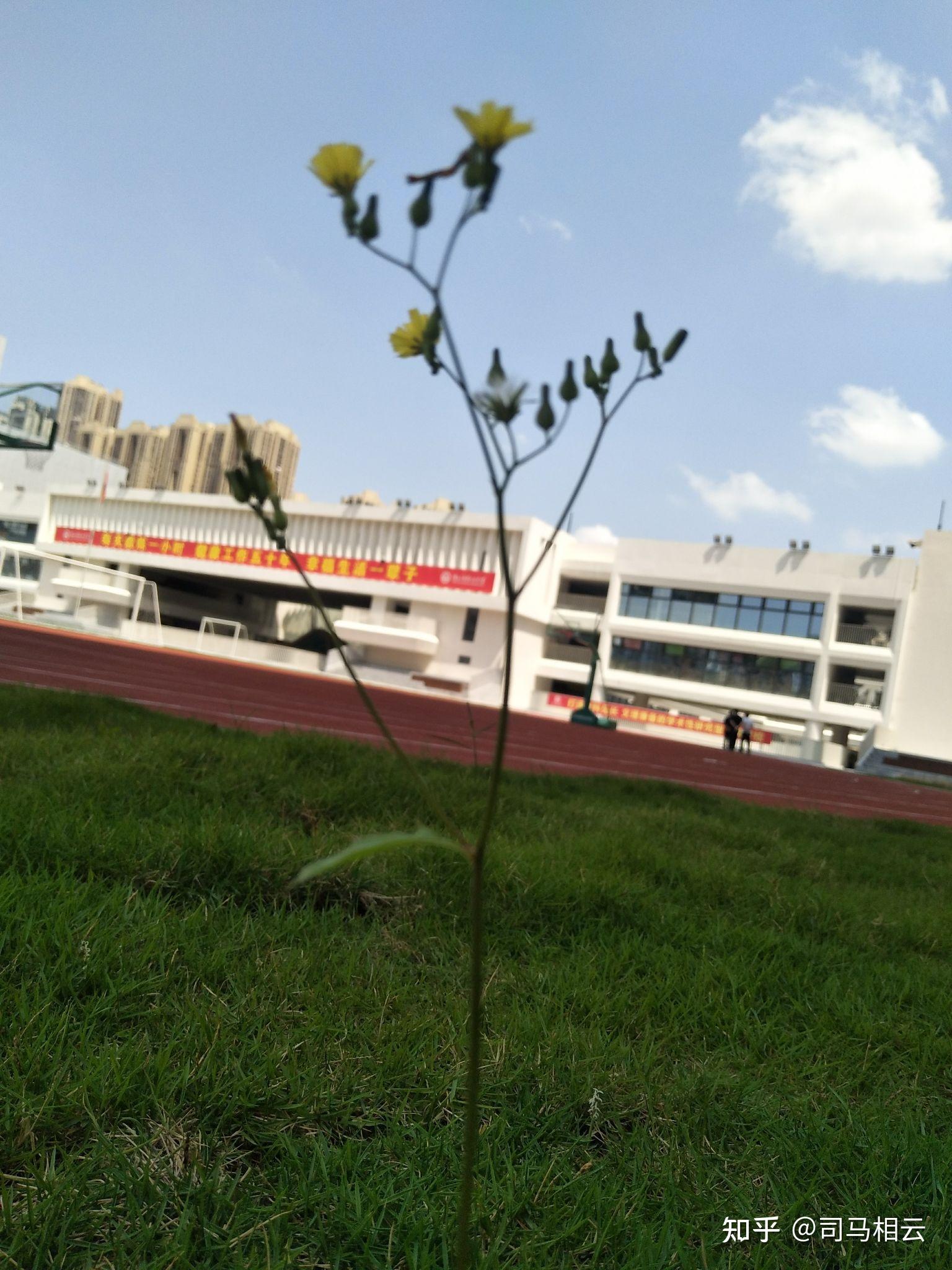 深圳红山中学里面现在什么样子呀求学长学姐可以拍一下教室桌椅宿舍