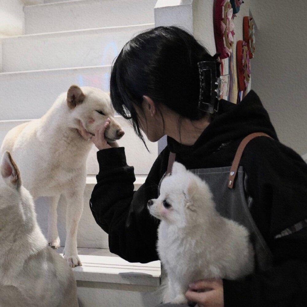 有没有女生抱着猫咪的头像呀?