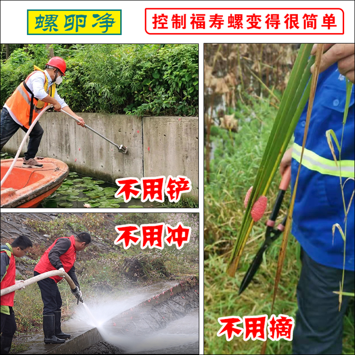 【螺卵净】河道、沟渠、水稻田里的福寿螺卵可以轻松灭杀和防控 - 知乎