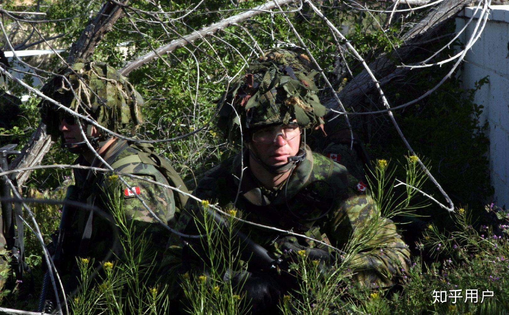 简单评价一下加拿大军迷彩cadpat与当今各国军队的迷彩相比有哪些特点