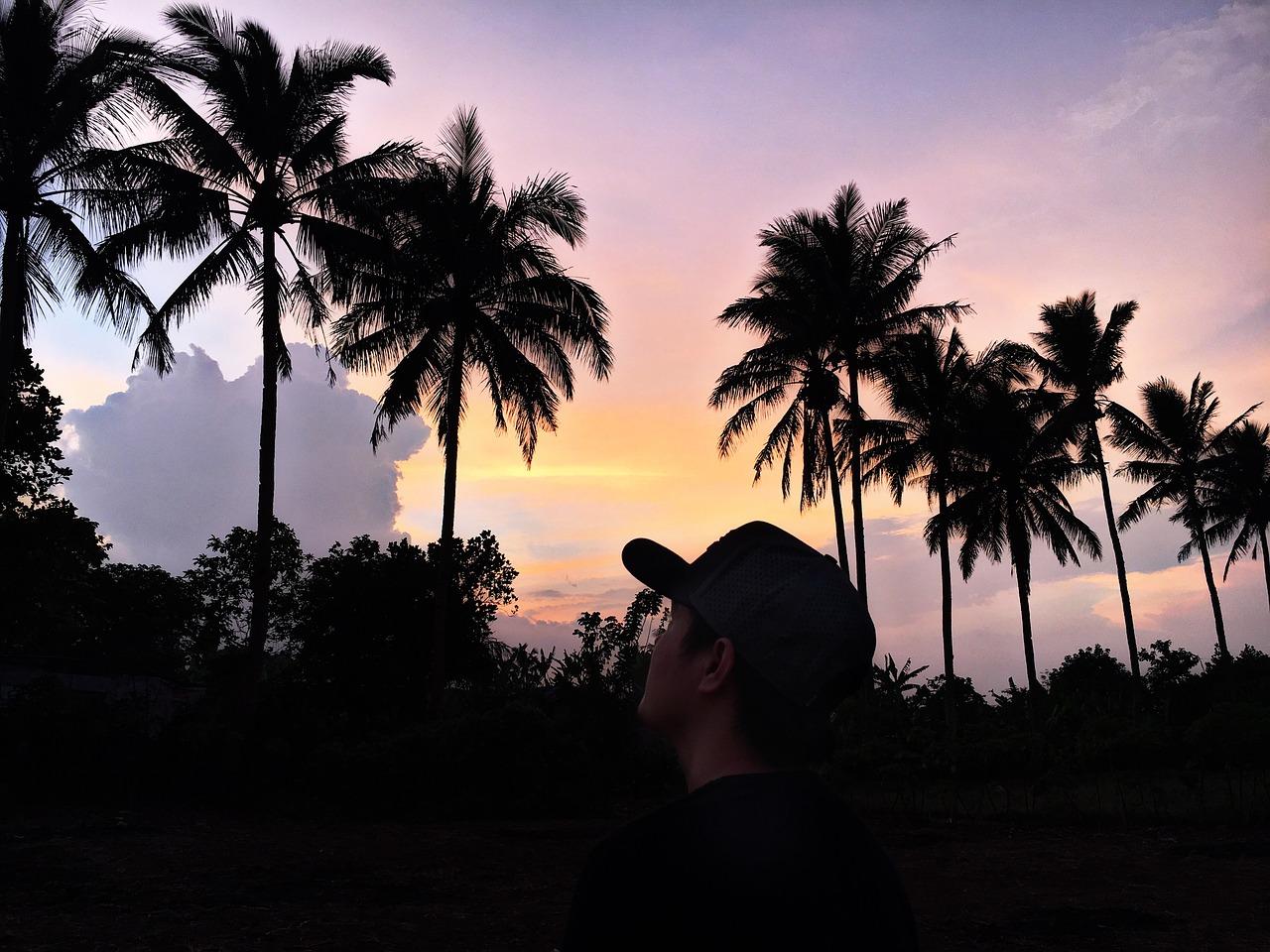 生态宜居郊区房