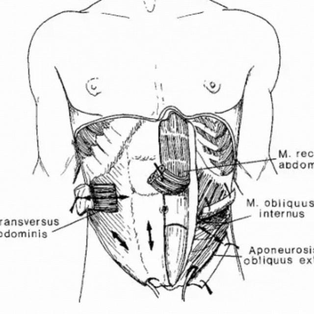 如果可以基因改良，你眼中的完美人类是什么样的？
