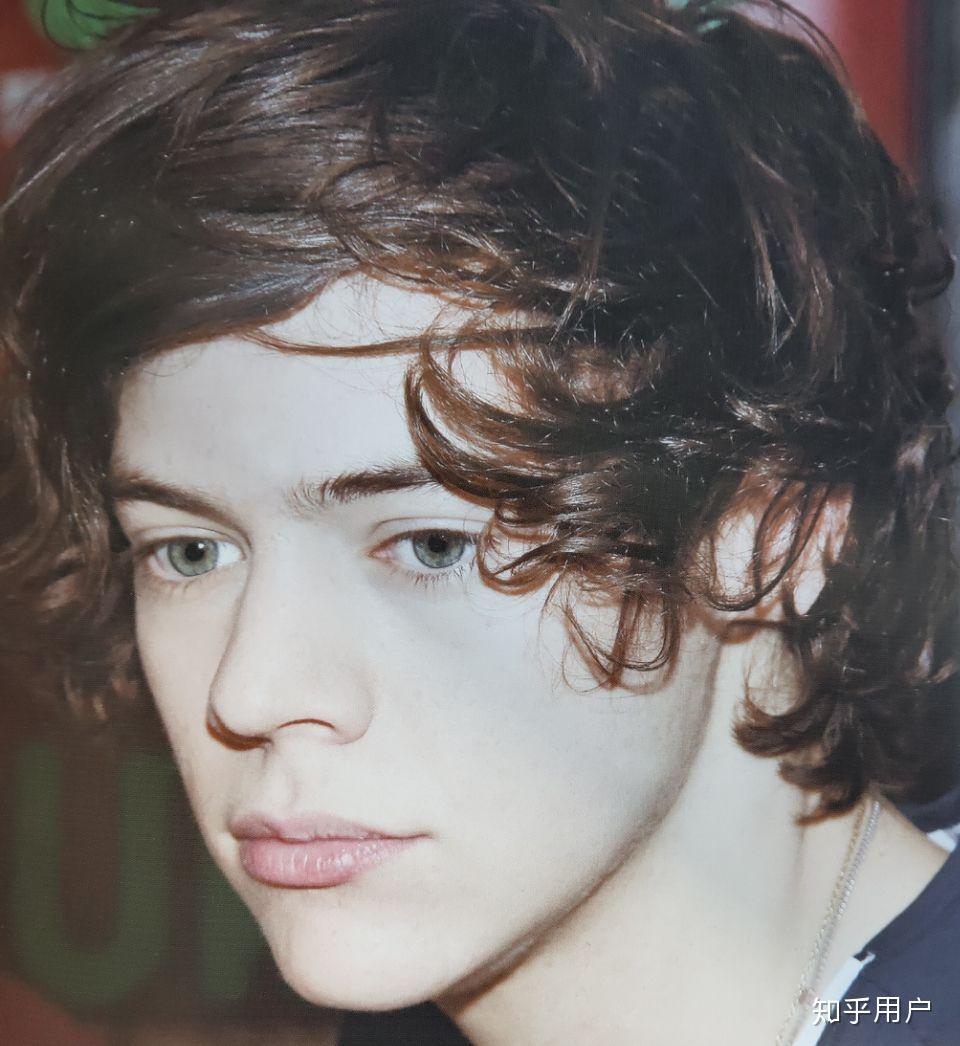 如何看待larry stylinson/harry styles和louis tomlinson关系?