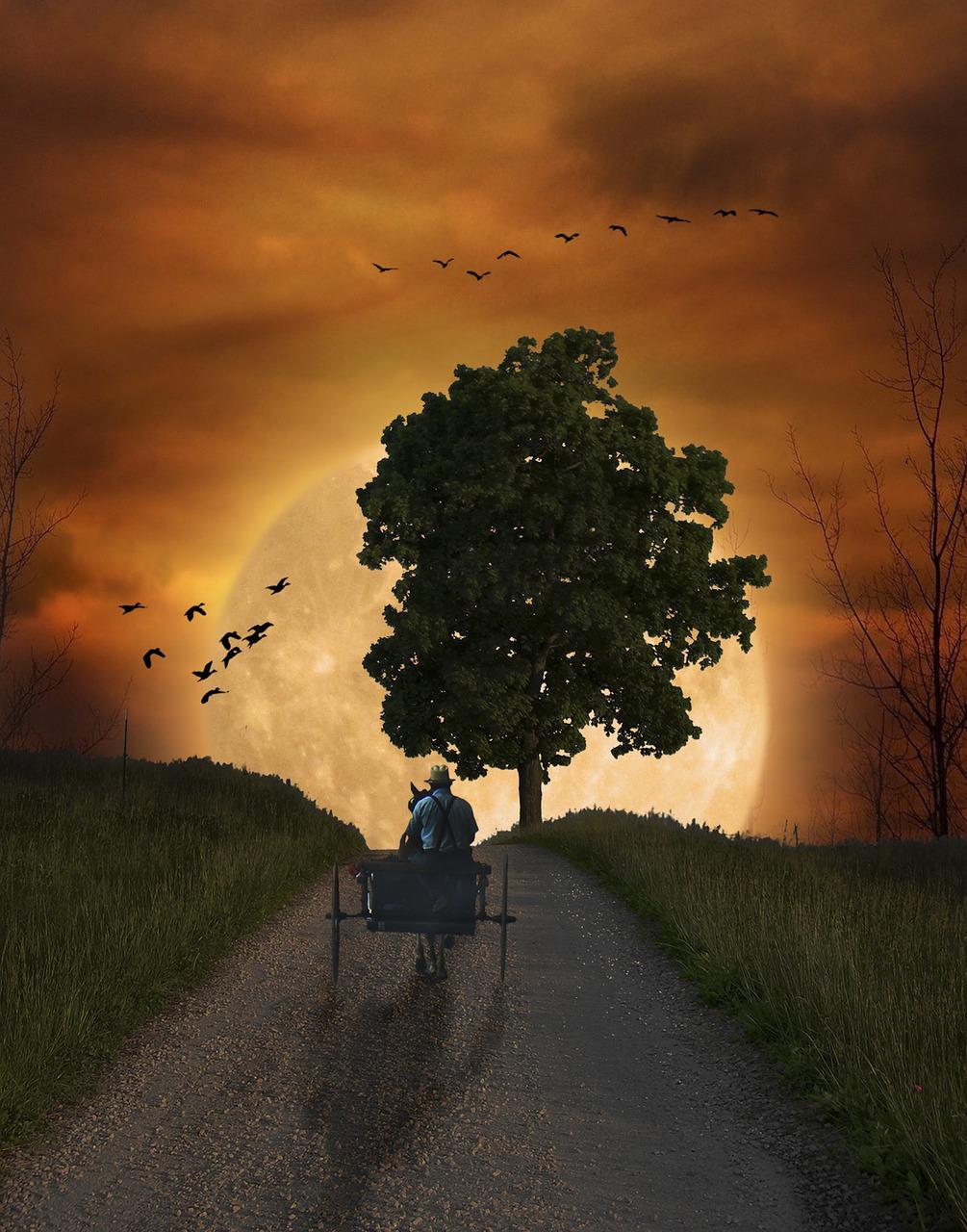 加盟印象派要多少钱