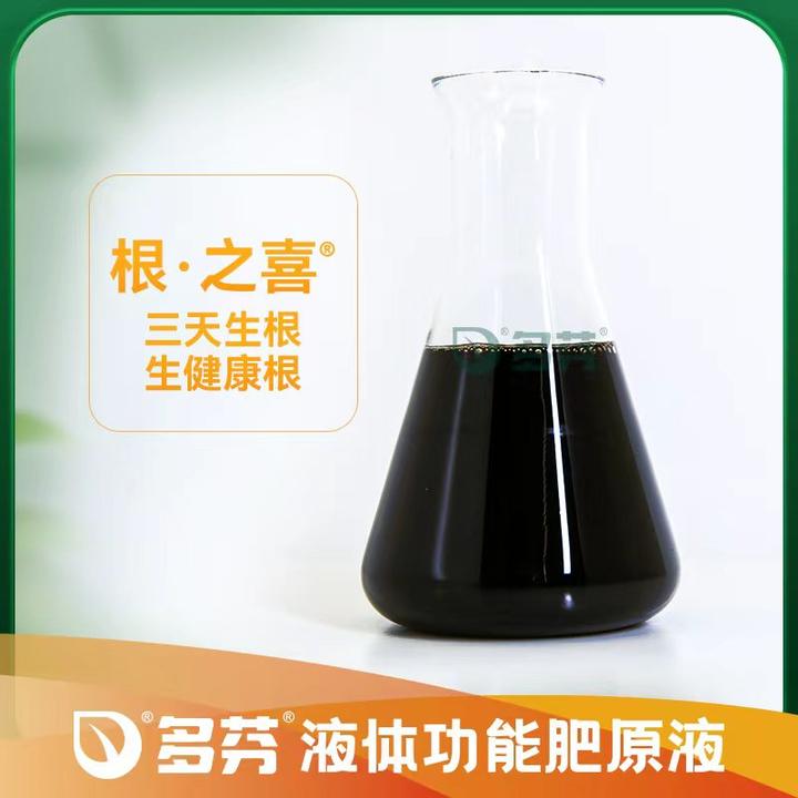 多芬根之喜:生根壮根护根基,赋能作物丰产提质 - 知乎