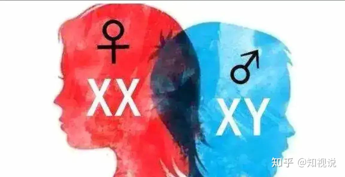 女子从小诊断为「真两性畸形」无法正常工作，如何从医学角度解读「真两性畸形」？ - 知乎