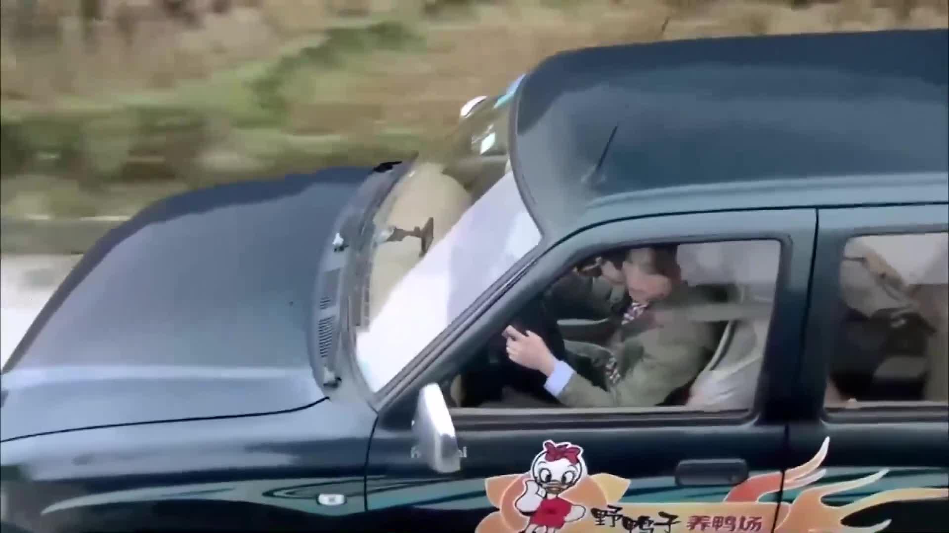 开车是马路杀手的都是女司机这句话对吗你怎么看