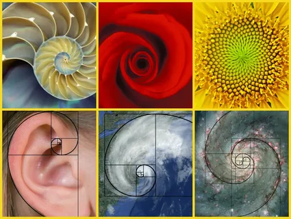 用差分方程求解斐波那契数列(Fibonacci sequence)通项公式 - 知乎