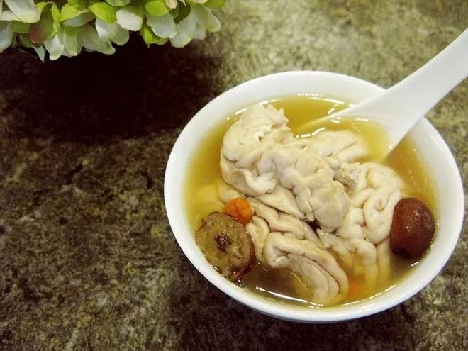 科学家成功复活死亡猪脑!网友:丧尸猪? - 知乎