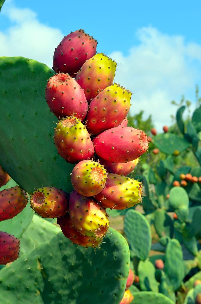 2. 梨子去皮去核