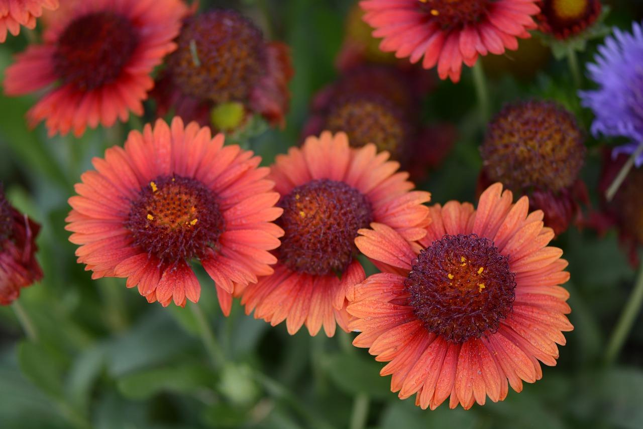 3. 秋冬棉被标准重