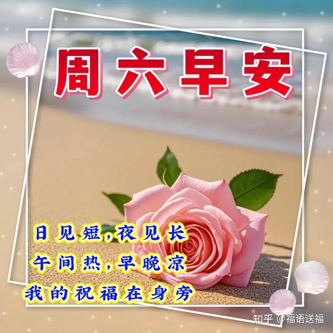 最新版周六愉快动画表情包 周末快乐问候祝福语动态图片表情精选 - 知乎