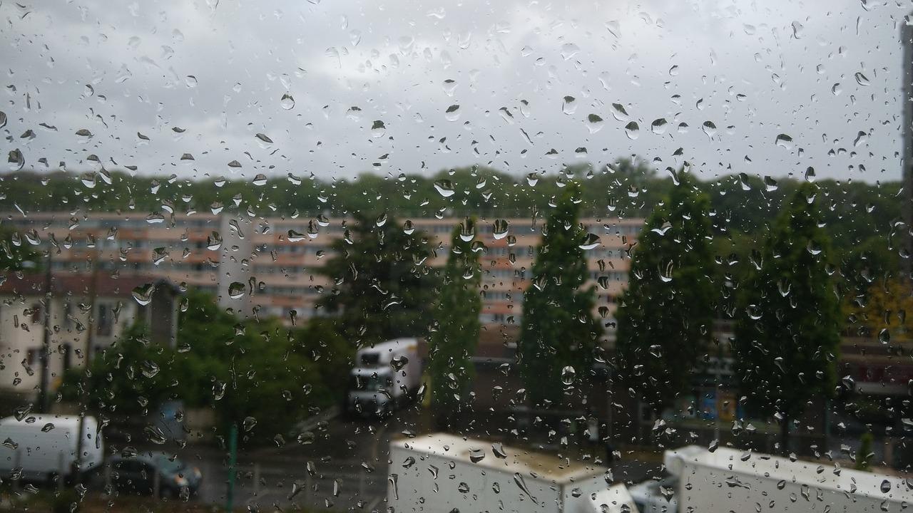落叶随雨舞动
