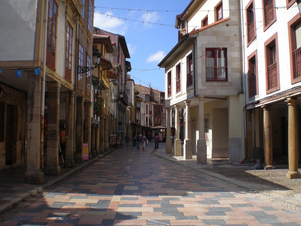 4. 新疆庭院植物