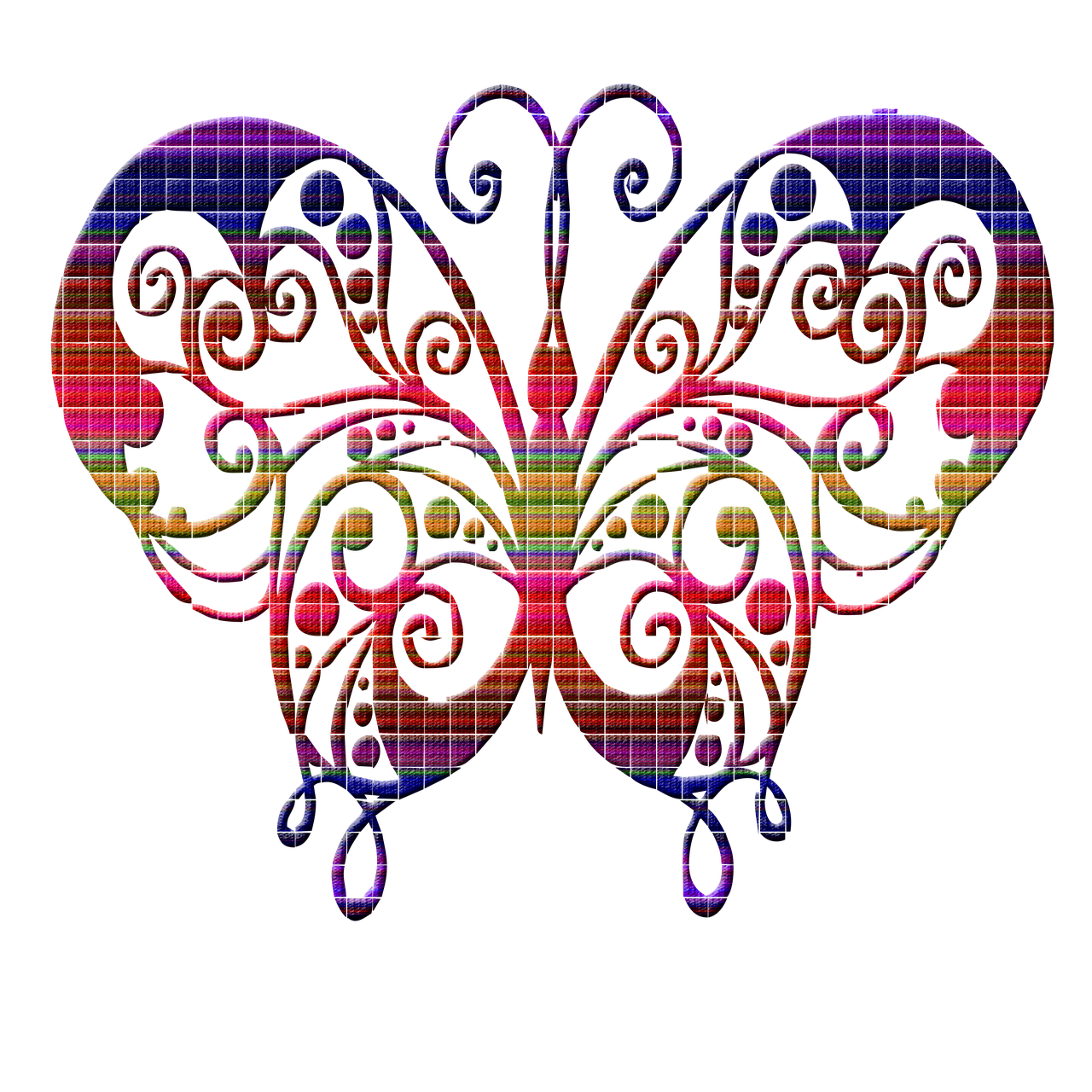 春天的蝴蝶使者