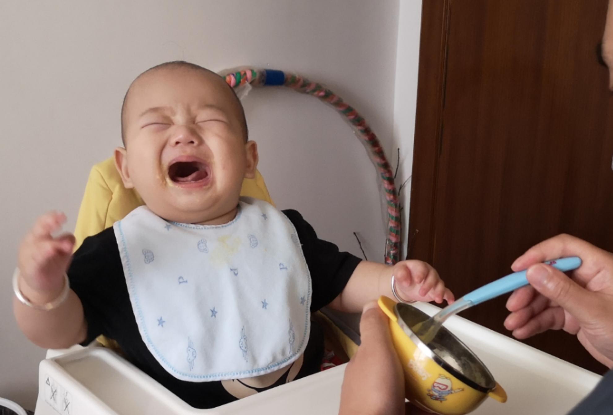 八个月婴儿可以吃什么辅食（8月龄宝宝）-幼儿百科-魔术铺