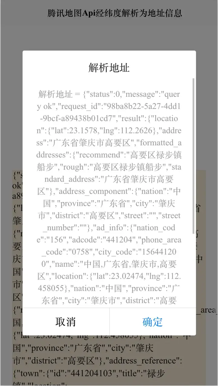  vue sdk api geocoding 