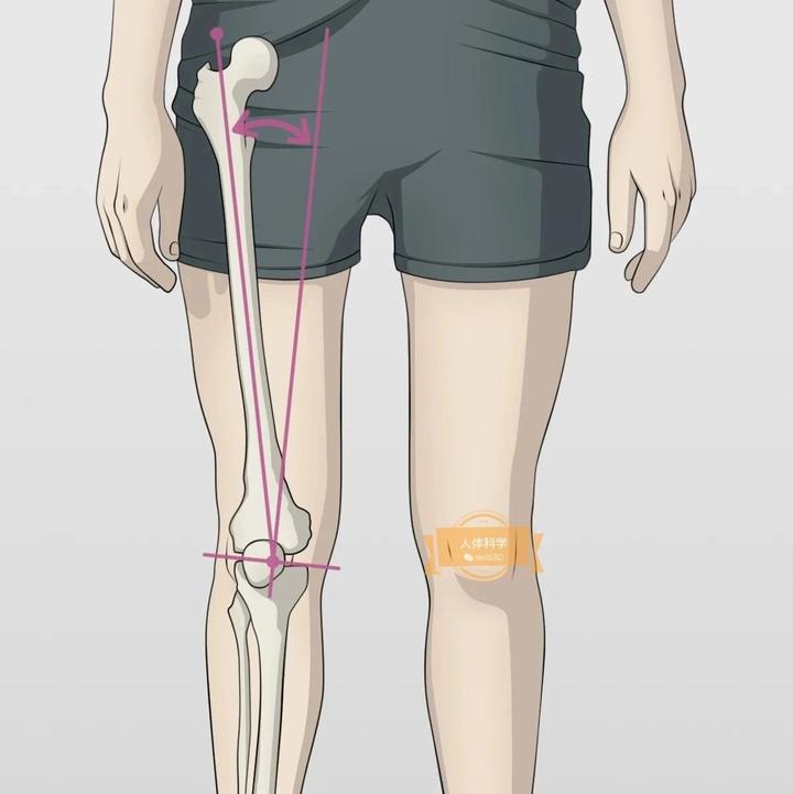 【腿型评估】如何准确检测腿部Q角大小? - 知乎