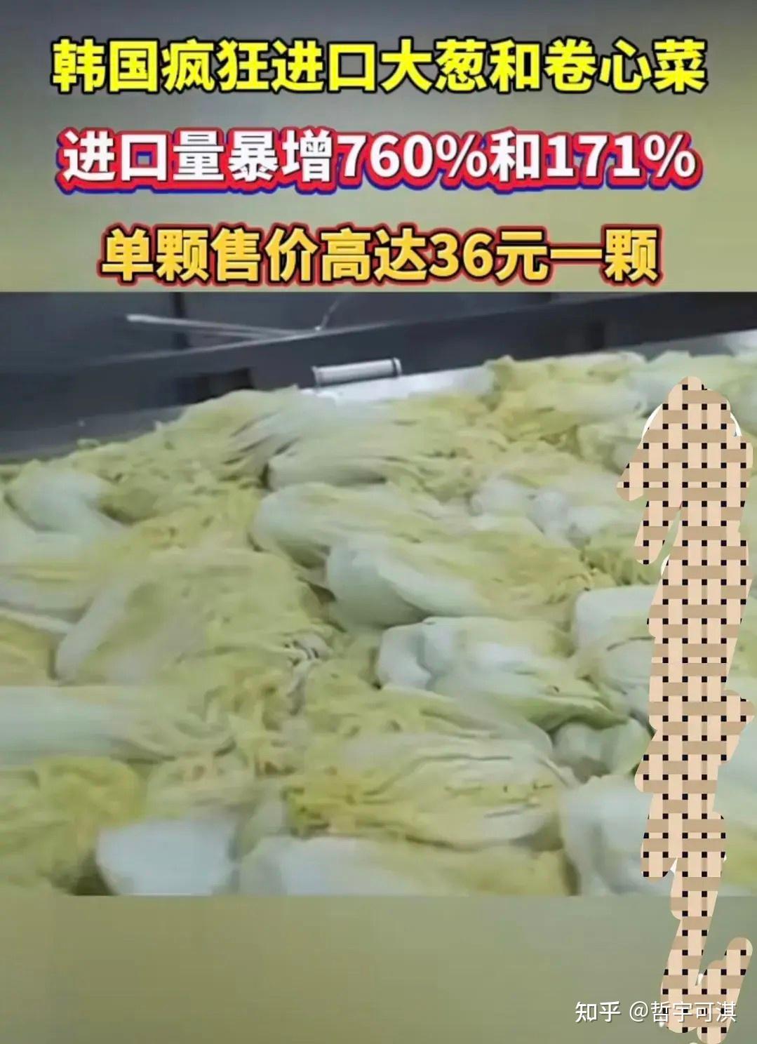 韩国物价大涨,首尔一顿普通午餐需七八十元,一个梨卖 47 元,中国蔬菜