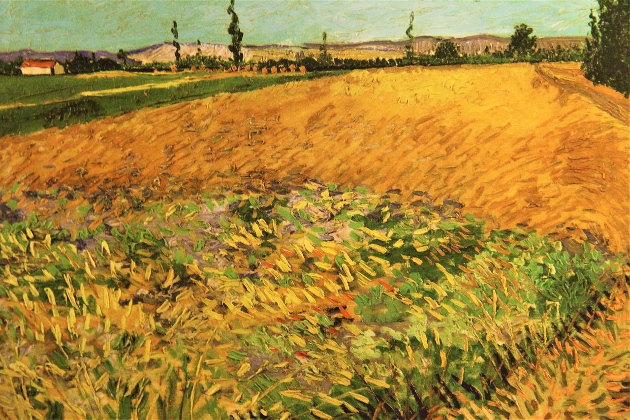 4. 交通出行便利