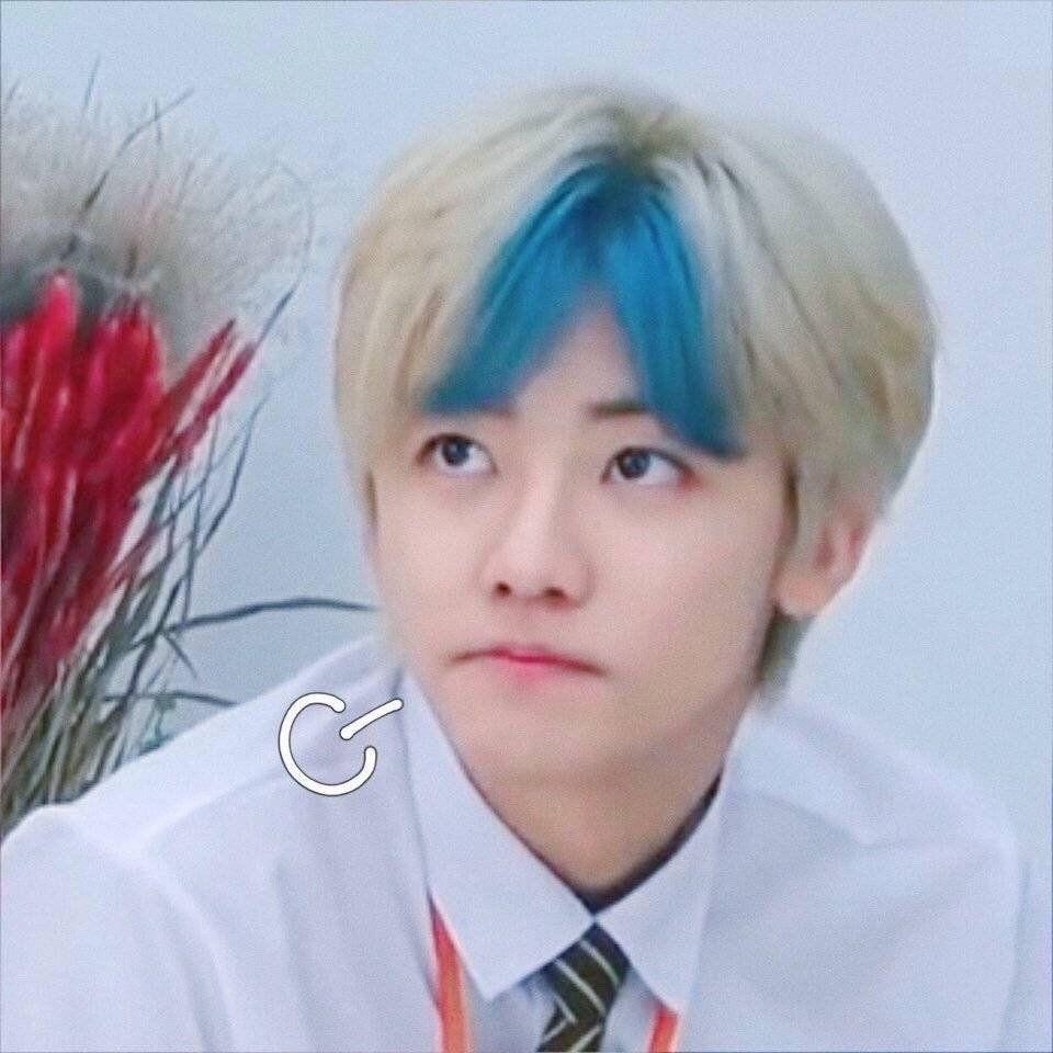 有没有nctdream的搞笑表情包