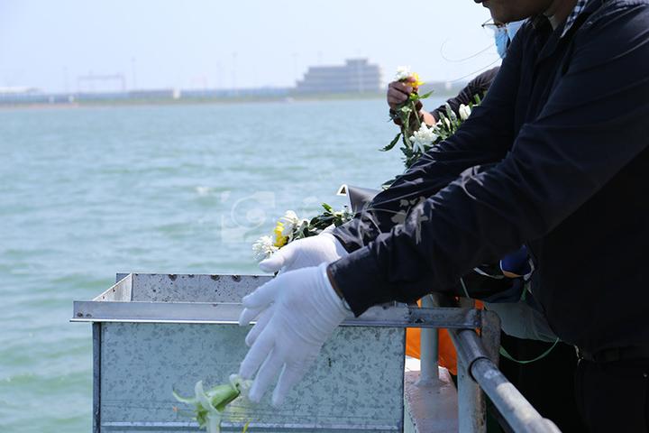 北京海葬所需的资料有哪些?北京附近海葬地点怎么选择? - 知乎
