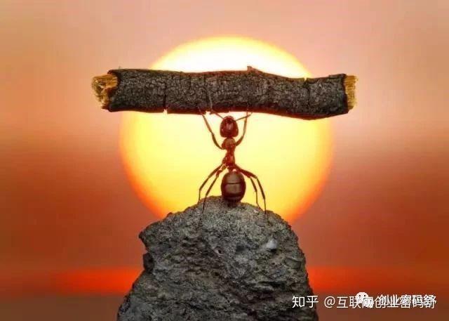 论创业死磕的重要性 - 知乎