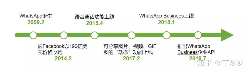 虎纹章鱼快懂百科
