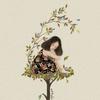 法语老师Aline