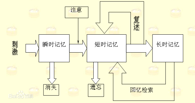 记忆及记忆过程,遗忘及遗忘的规律「心理学了22」 - 知乎