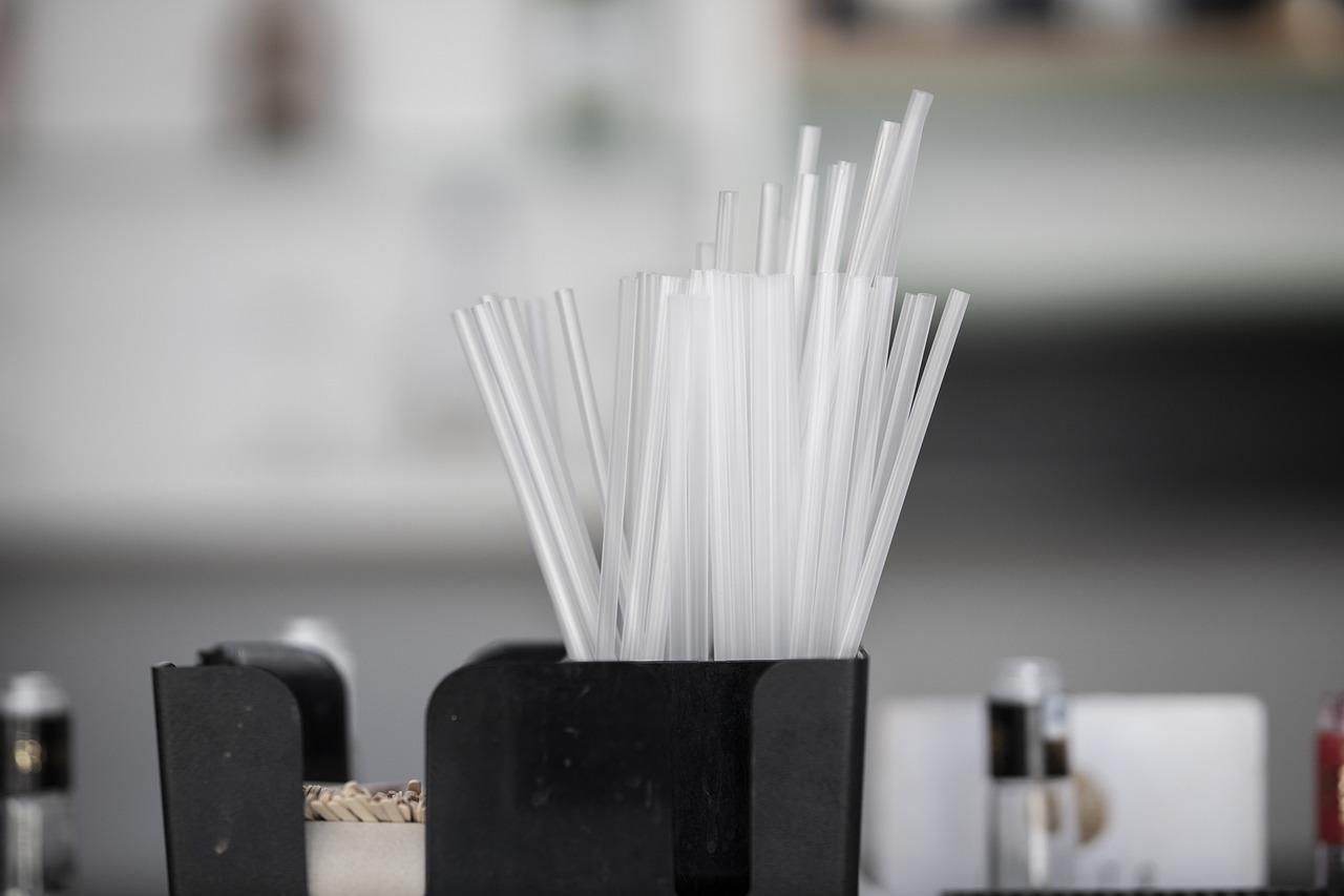 2. 蒸汽消毒除味