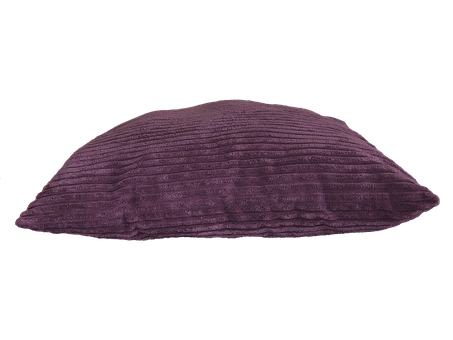 紫色沙发配什么色好看