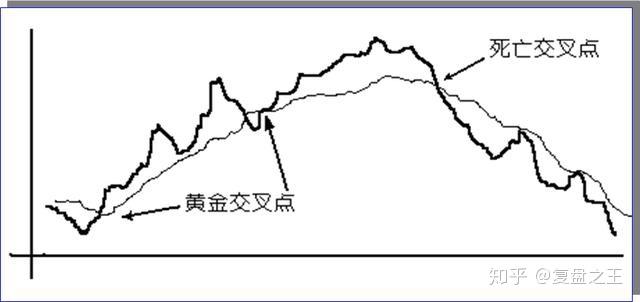 股票中显示的曲线变化是根据什么?