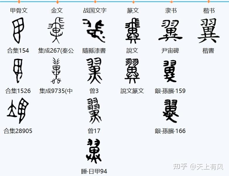 甲骨文中飛字和鳥隹字的造字原型是否有關