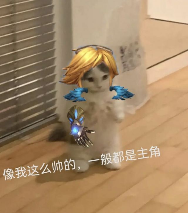 你都有哪些英雄联盟魔法猫咪的表情包