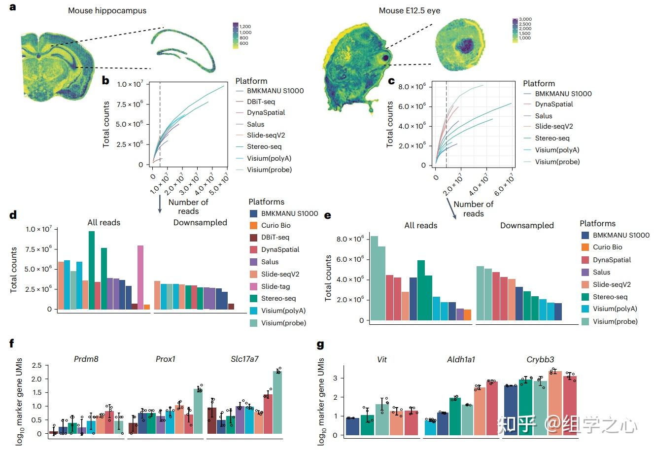 nature methods | 11种空间转录组学技术的系统性比较 - 知乎