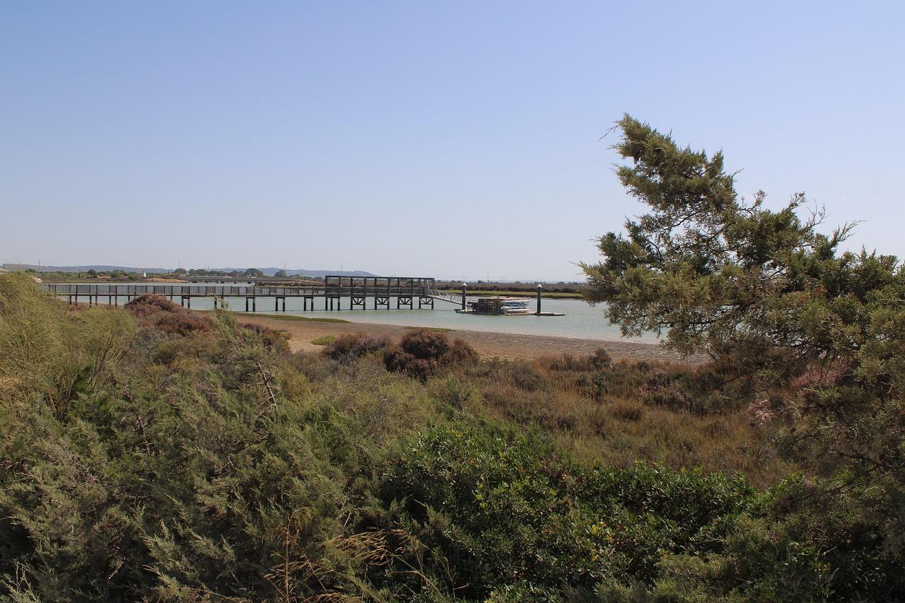 公园旁住宅售价